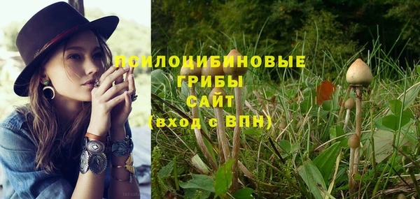 спиды Нефтекумск