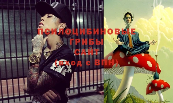 спиды Нефтекумск