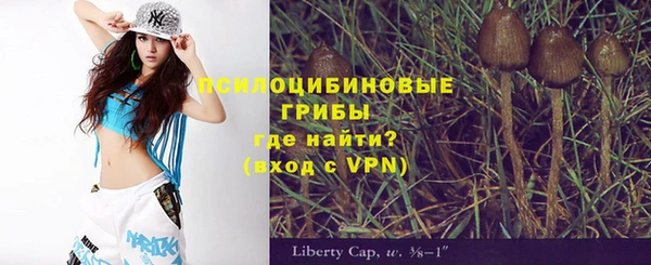 спиды Нефтекумск