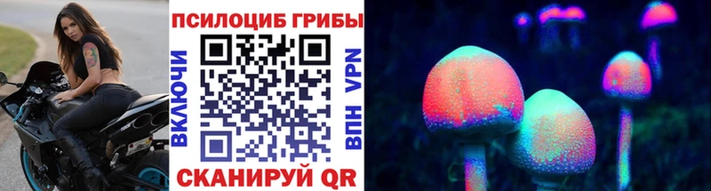 закладки  ОМГ ОМГ маркетплейс  Псилоцибиновые грибы Psilocybe  Курлово 